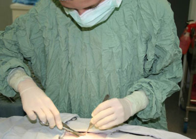 07-Starting-surgery-with-an-incision